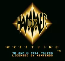 Image n° 1 - screenshots  : Hammerlock Wrestling